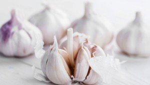 knoflook