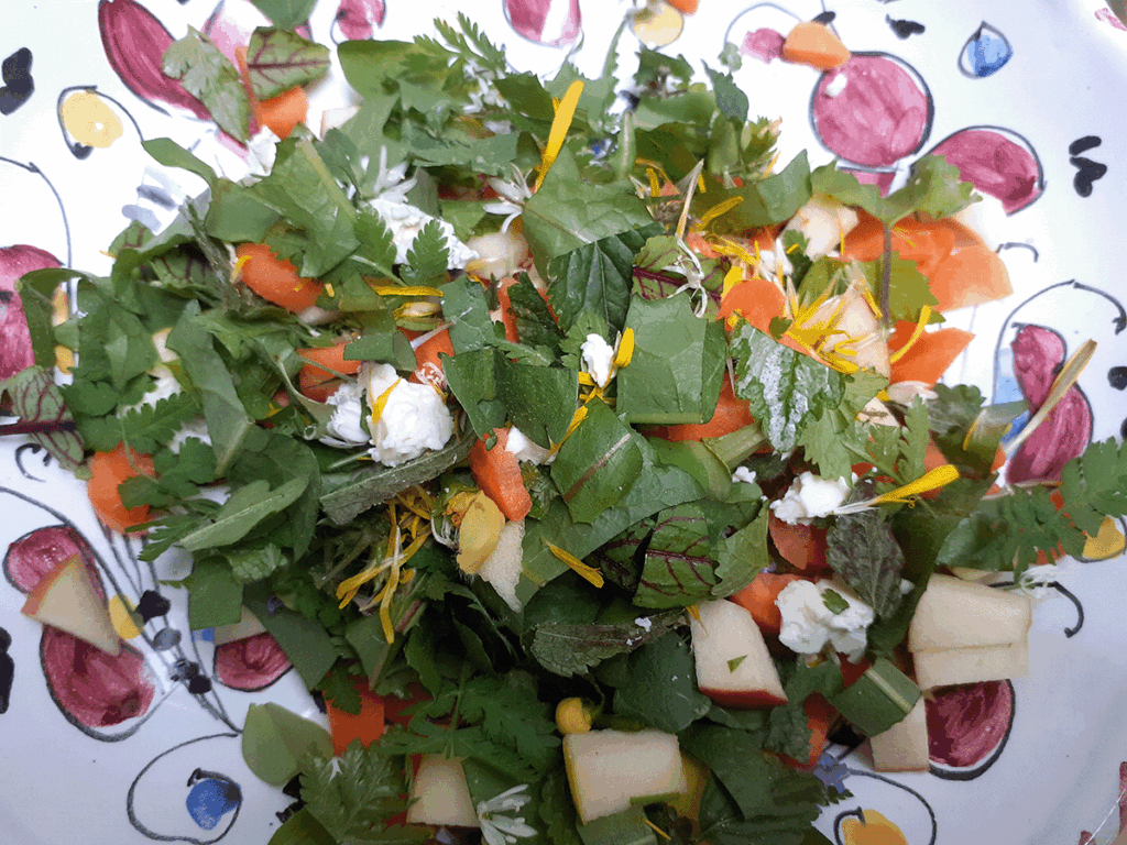 salade vers